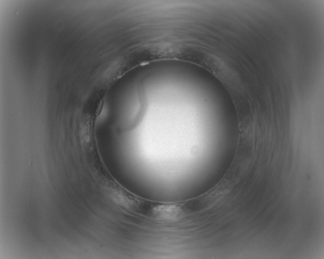 X0000066990133200603241326