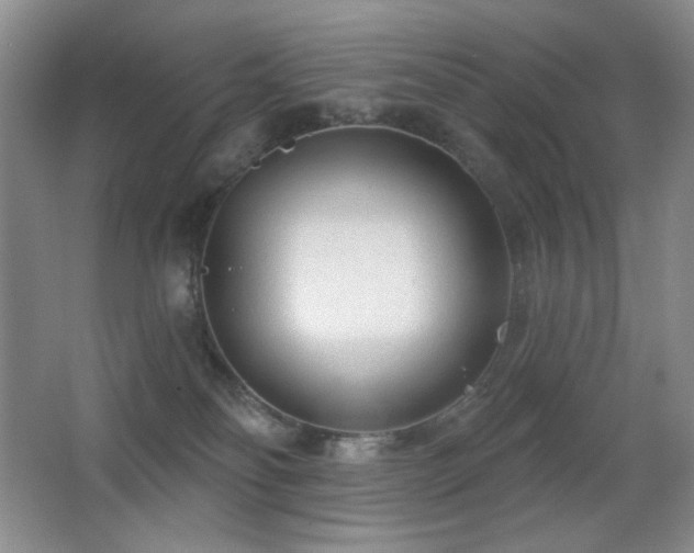 X0000066990134200603241326