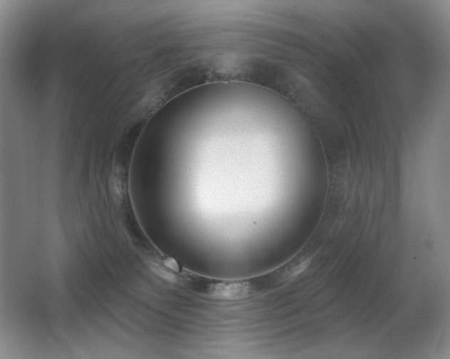 X0000066990135200603241326