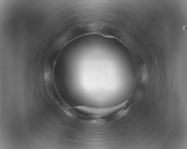X0000066990137200603241326