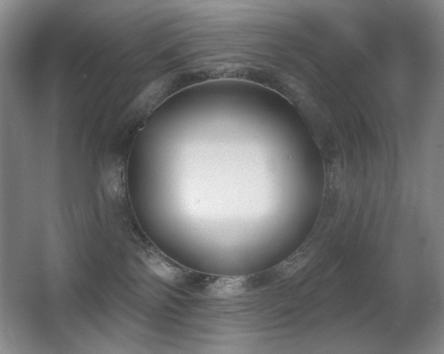 X0000066990138200603241326