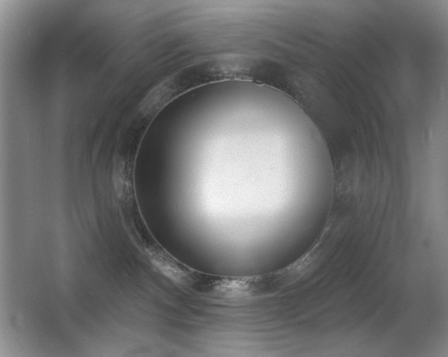 X0000066990140200603241326