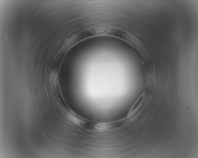 X0000066990142200603241326