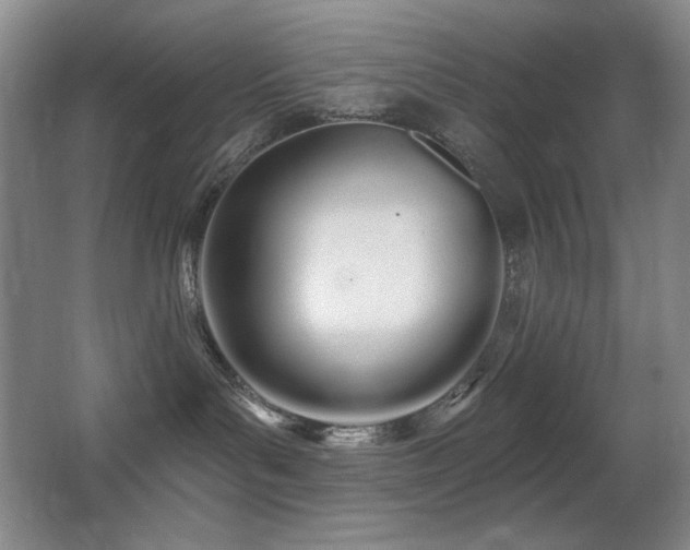 X0000066990143200603241326