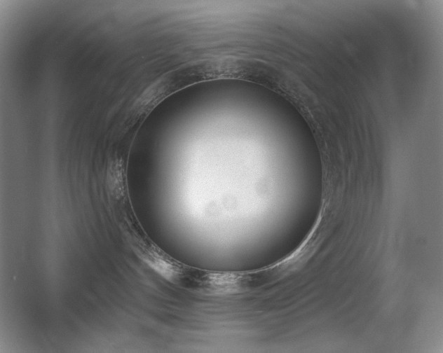 X0000066990144200603241326