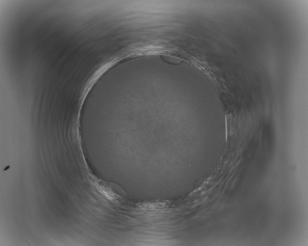 X0000066990147200603241325