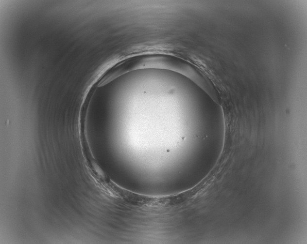 X0000066990148200603241325