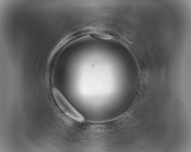 X0000066990150200603241325