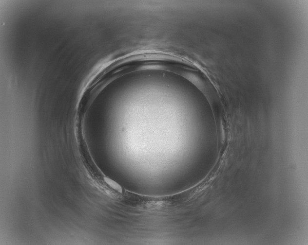 X0000066990152200603241325