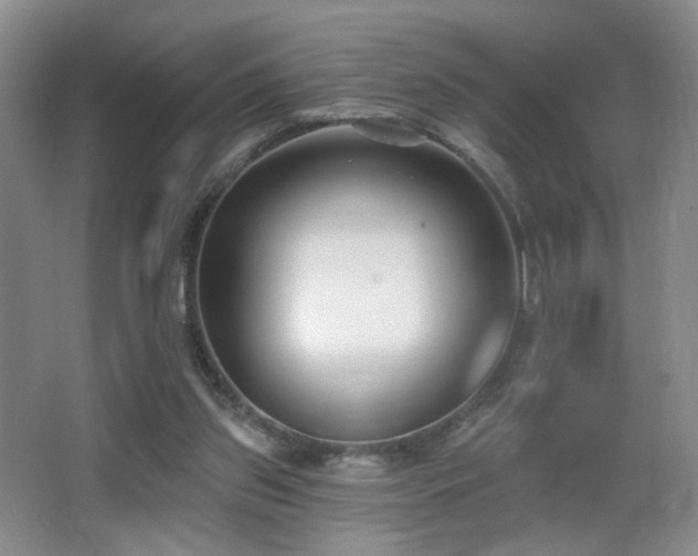 X0000066990157200603241325