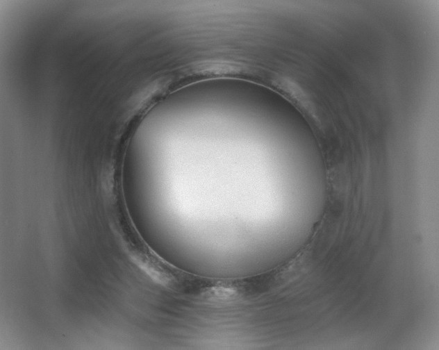 X0000066990159200603241325