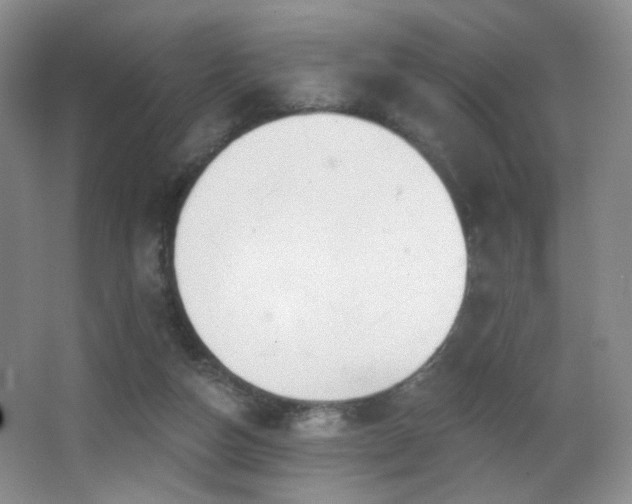 X0000066990162200603241325
