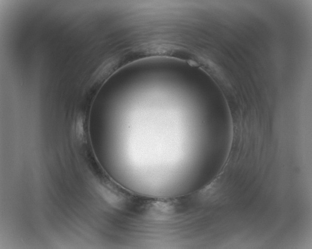X0000066990166200603241325