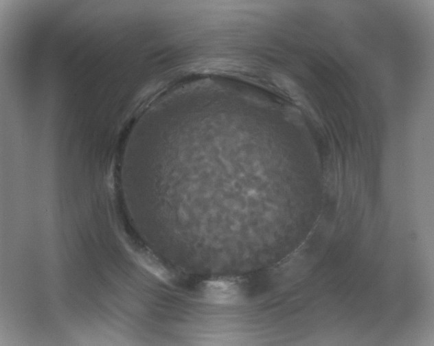 X0000066990167200603241325