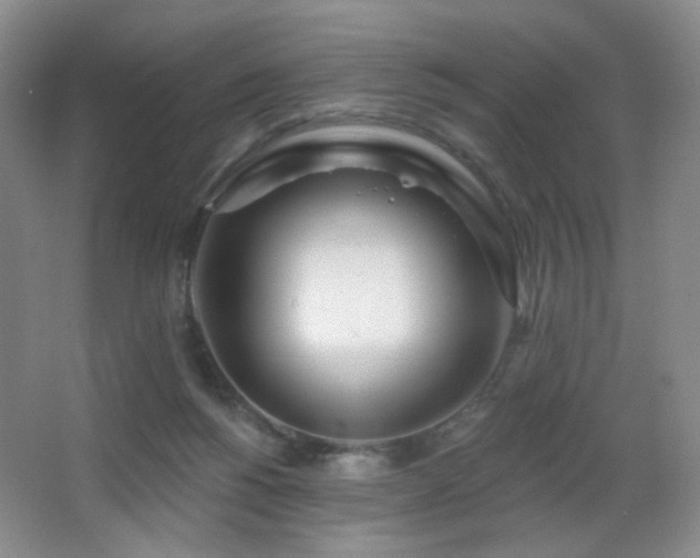 X0000066990168200603241325