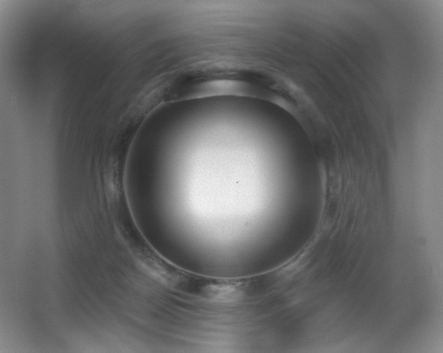 X0000066990170200603241325