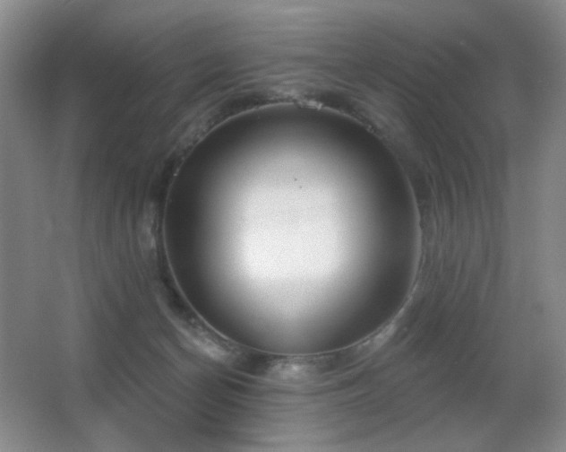 X0000066990174200603241325