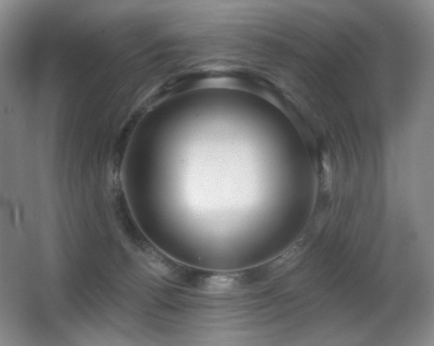 X0000066990176200603241326