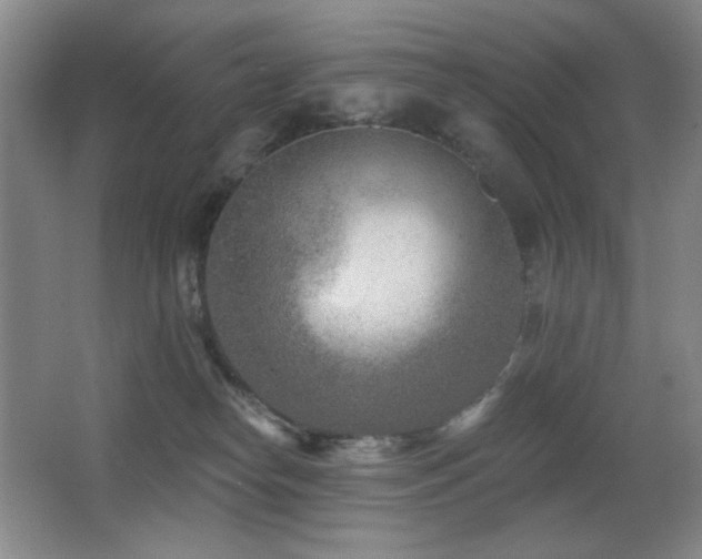 X0000066990182200603241326