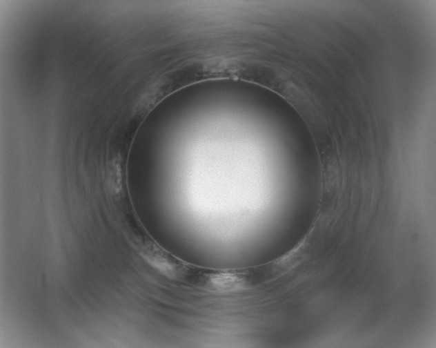 X0000066990183200603241326