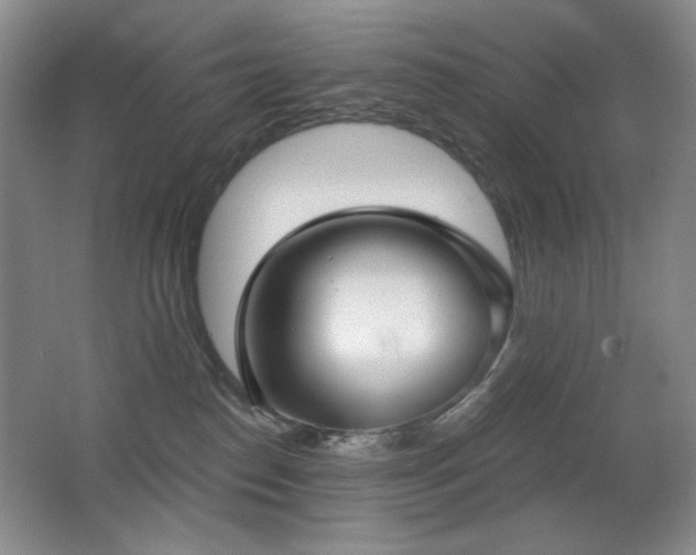 X0000066990186200603241326