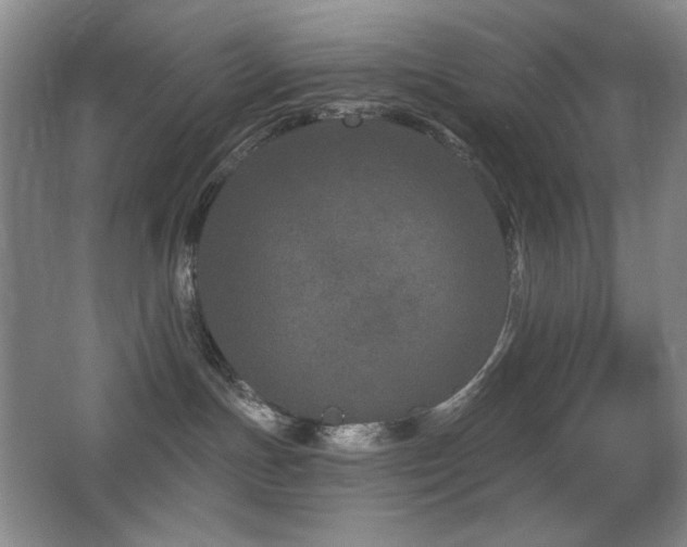 X0000066990191200603241326