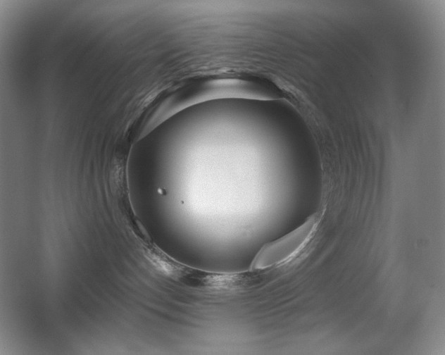X0000066990192200603241326