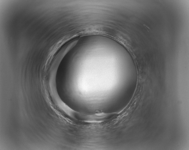 X0000066990193200603241325