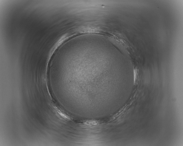 X0000066990195200603241325