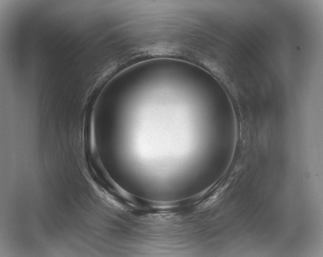 X0000066990201200603241325
