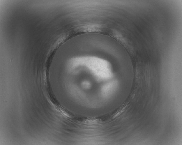 X0000066990202200603241325