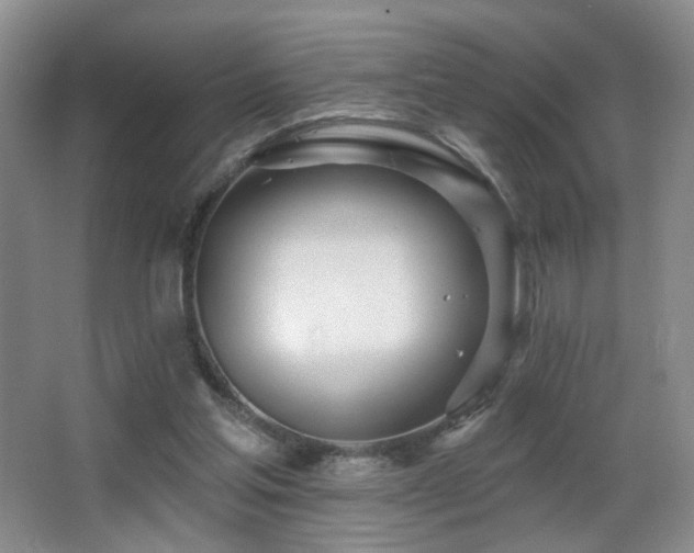 X0000066990205200603241325