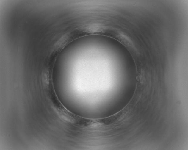 X0000066990210200603241325