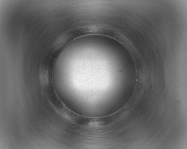 X0000066990216200603241325