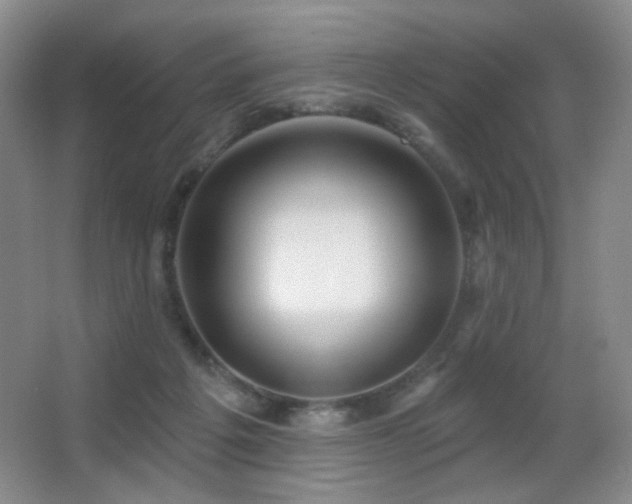 X0000066990217200603241325