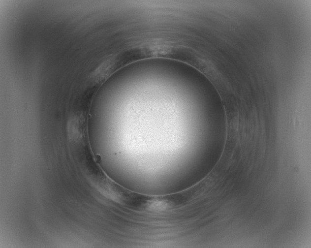 X0000066990218200603241325