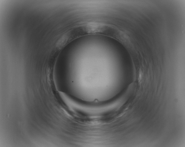 X0000066990219200603241325