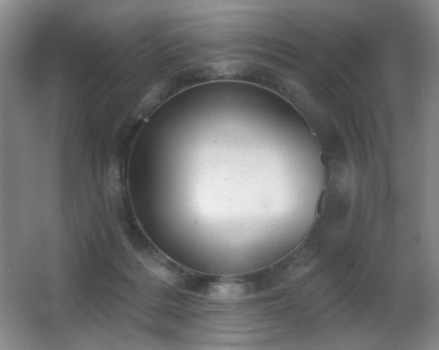 X0000066990220200603241325