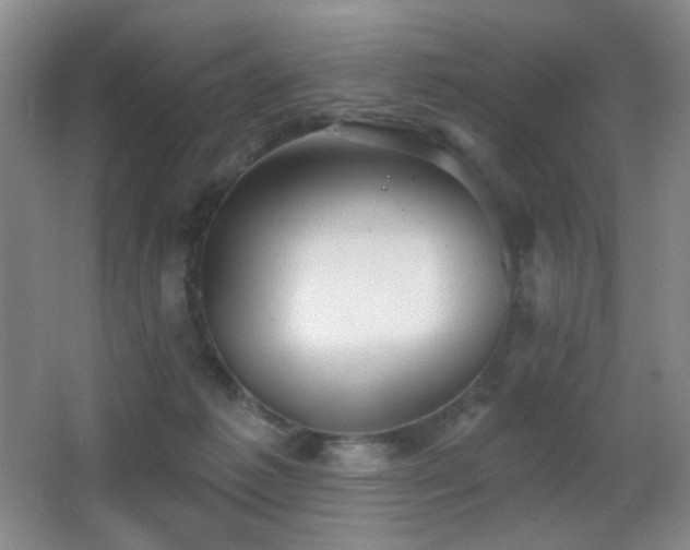 X0000066990221200603241324