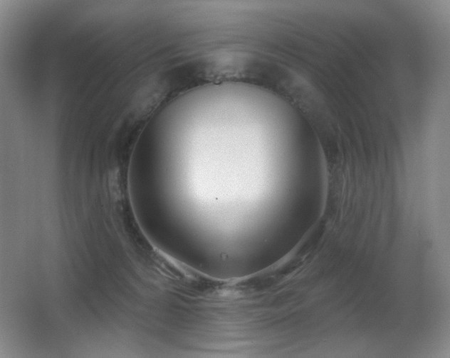 X0000066990224200603241324