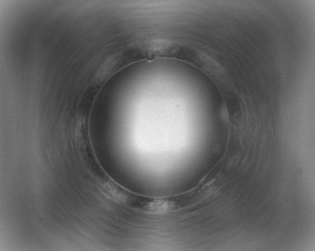 X0000066990225200603241324