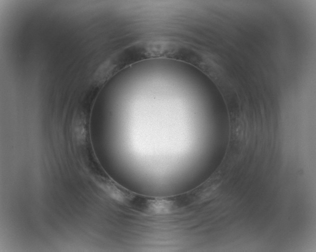 X0000066990226200603241324