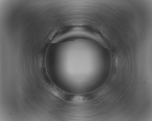 X0000066990227200603241324