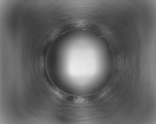 X0000066990230200603241324