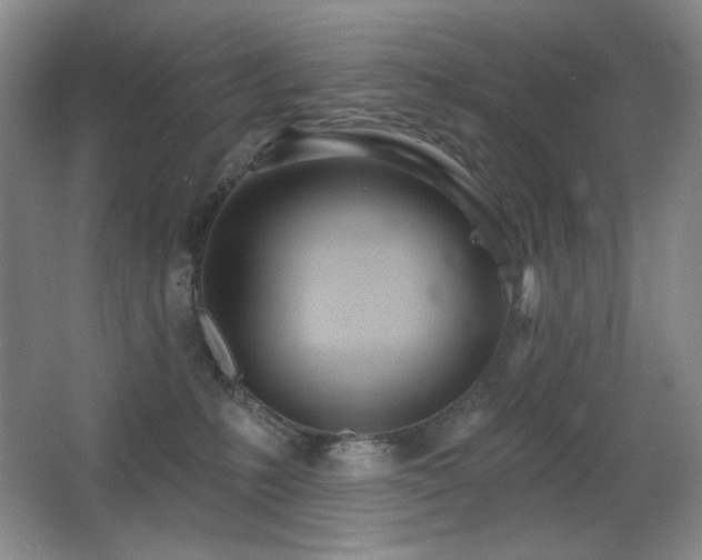 X0000066990231200603241324