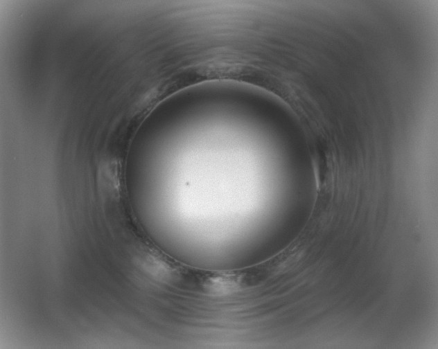 X0000066990232200603241324