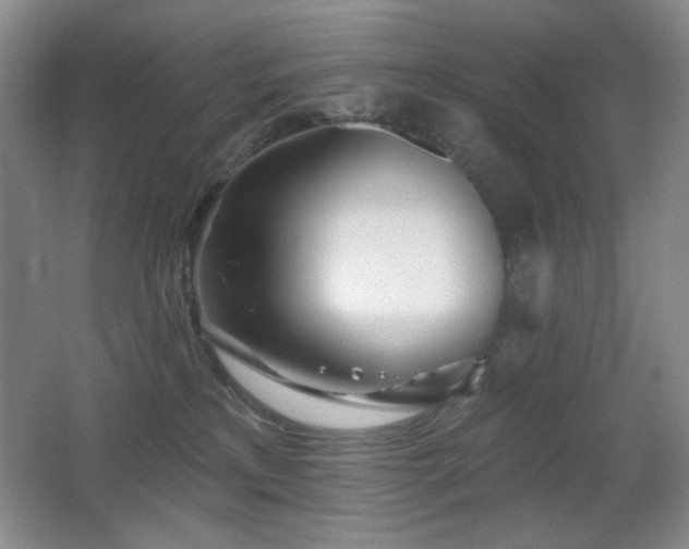 X0000066990233200603241324