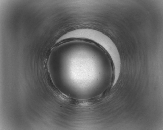 X0000066990237200603241324