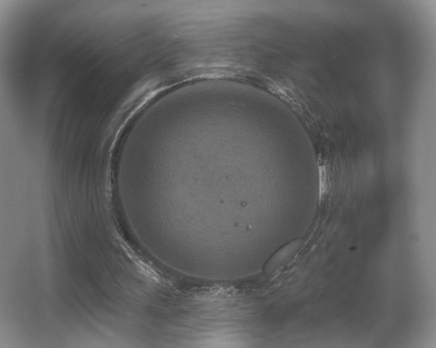 X0000066990243200603241323