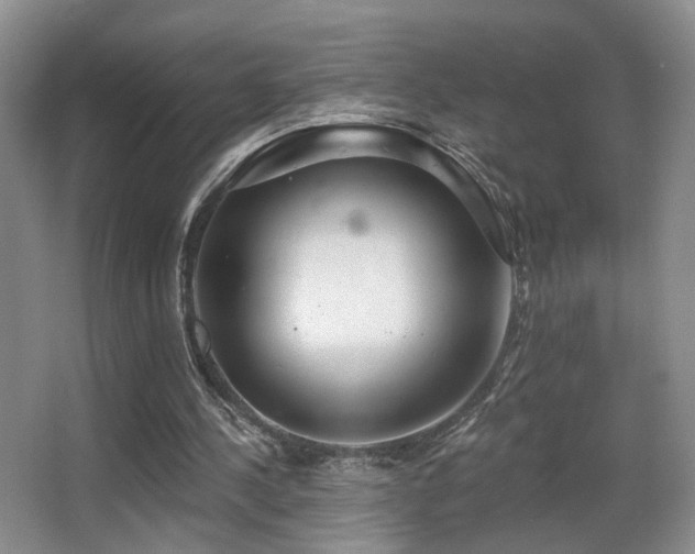 X0000066990244200603241323